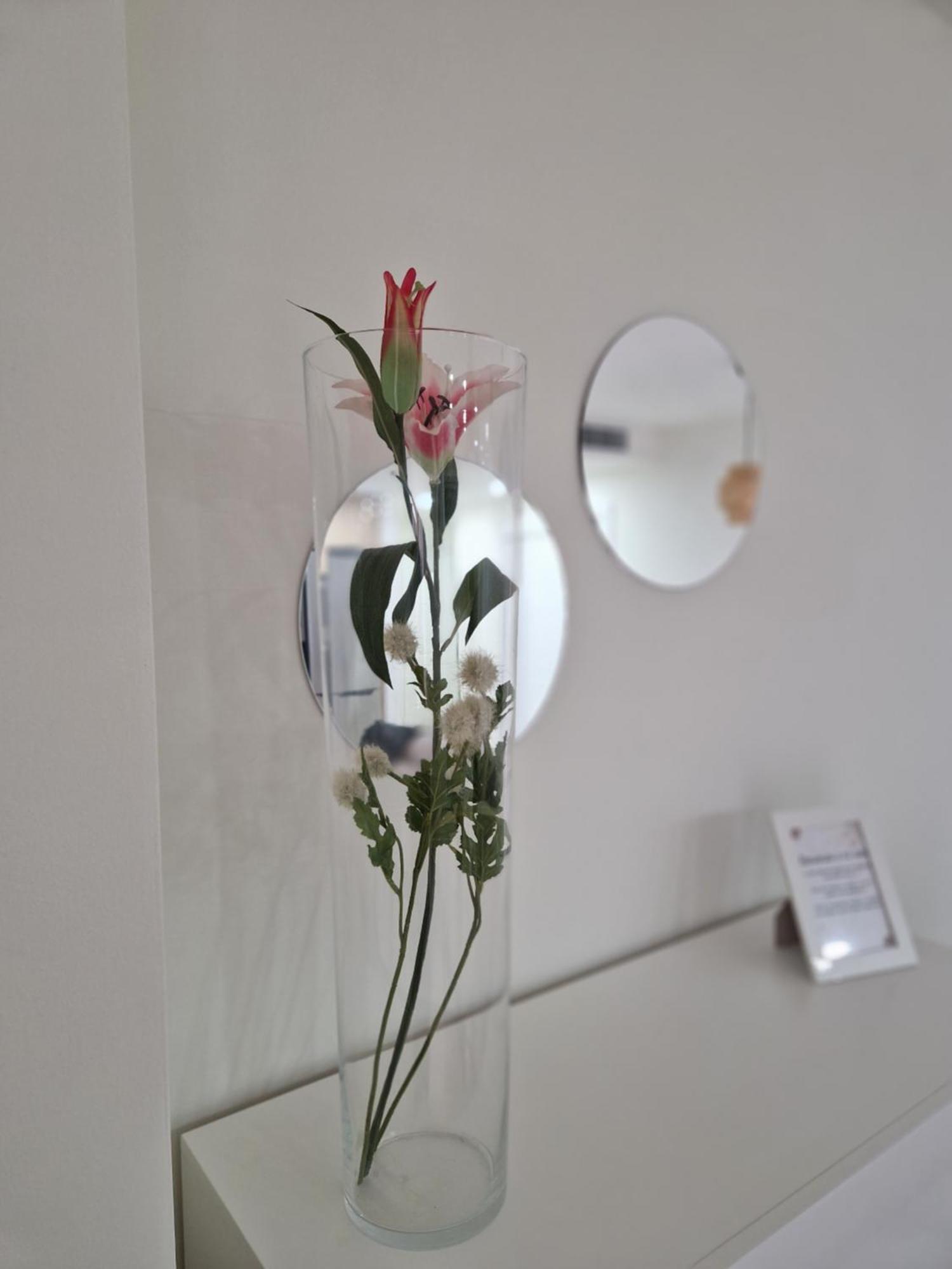 Apartamento V27 Baeza Exteriör bild